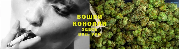 PSILOCYBIN Аркадак
