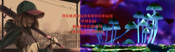 PSILOCYBIN Аркадак