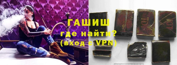 PSILOCYBIN Аркадак