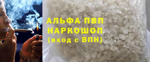 PSILOCYBIN Аркадак
