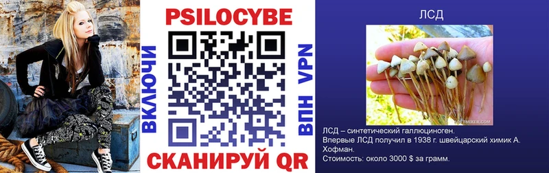 Псилоцибиновые грибы GOLDEN TEACHER  Талица 
